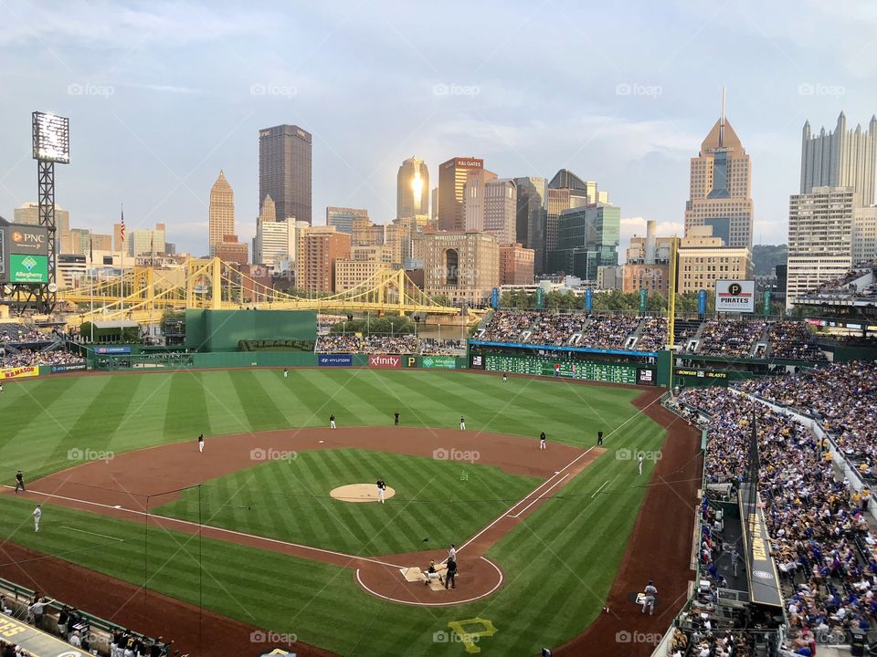 Field and Crowd