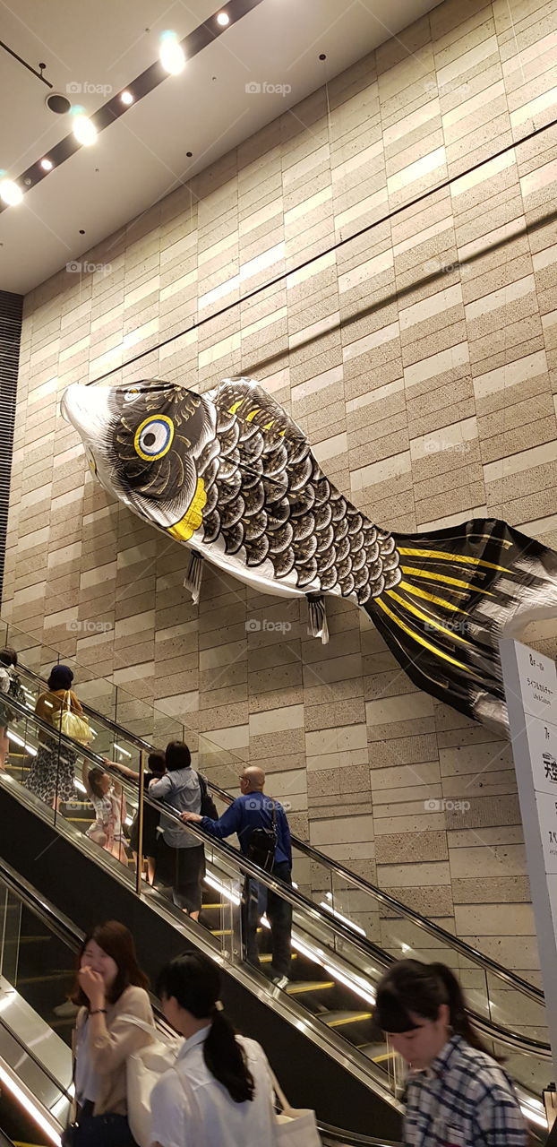 Fish Banner
