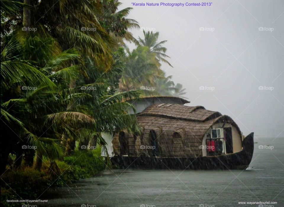 kerala nature beauty a rainy day in vembanadu lake kuttandu kerala india #houseboat