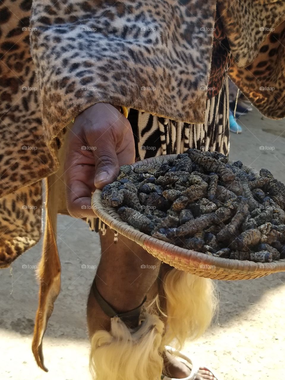 Mopane Worms, yum