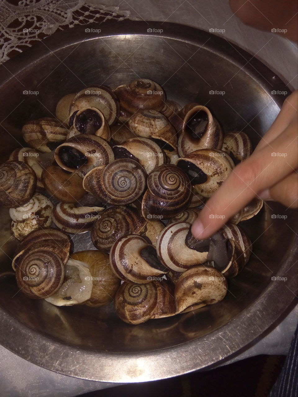 escargots