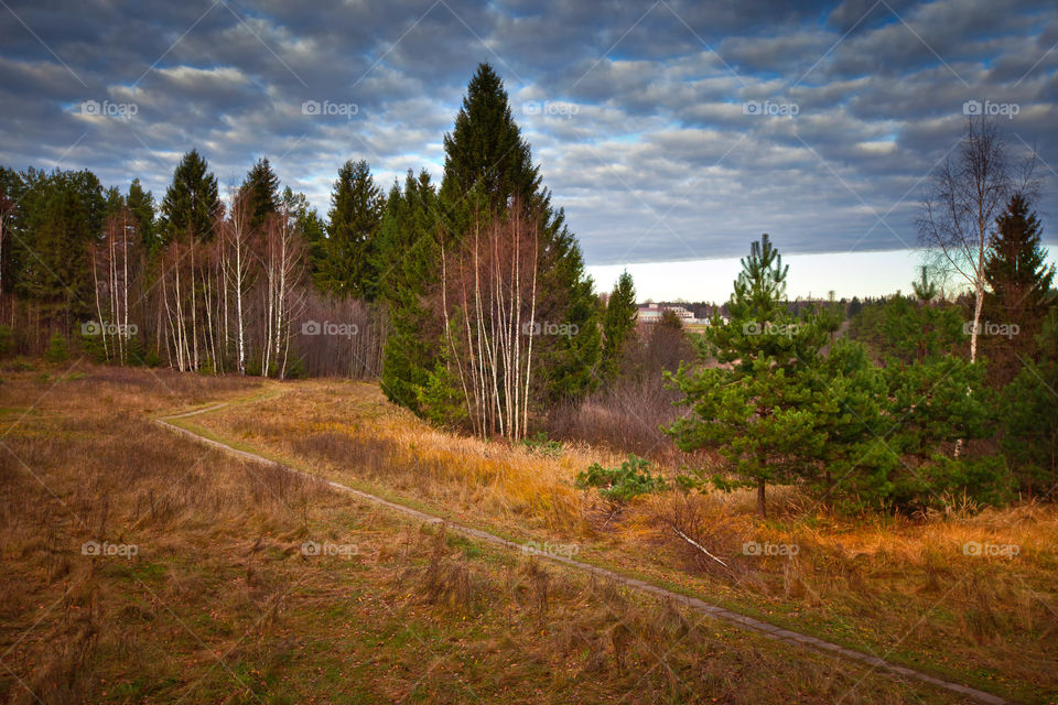 Autumn Russian landscape 