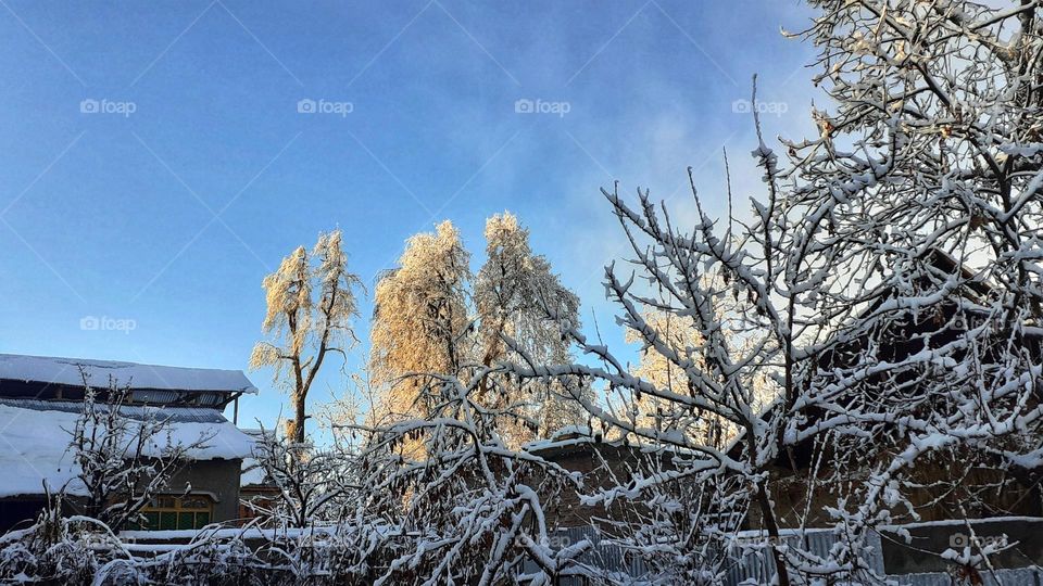 Snowfall and mornings.