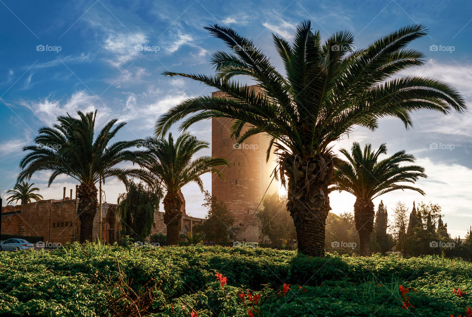 The Great Mosque in Sale (Morocco) with luxurious greens, palm trees and flowers in the foreground against the sky covered with a cloudy pattern on a sunny summer evening