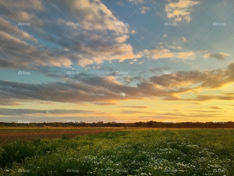 Sunset landscape