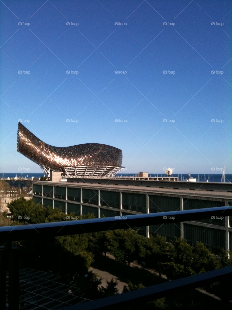 Scultura barcelloneta