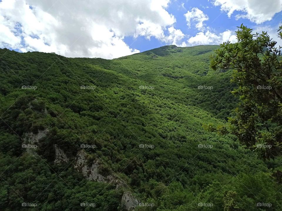 Nature, Abruzzo
