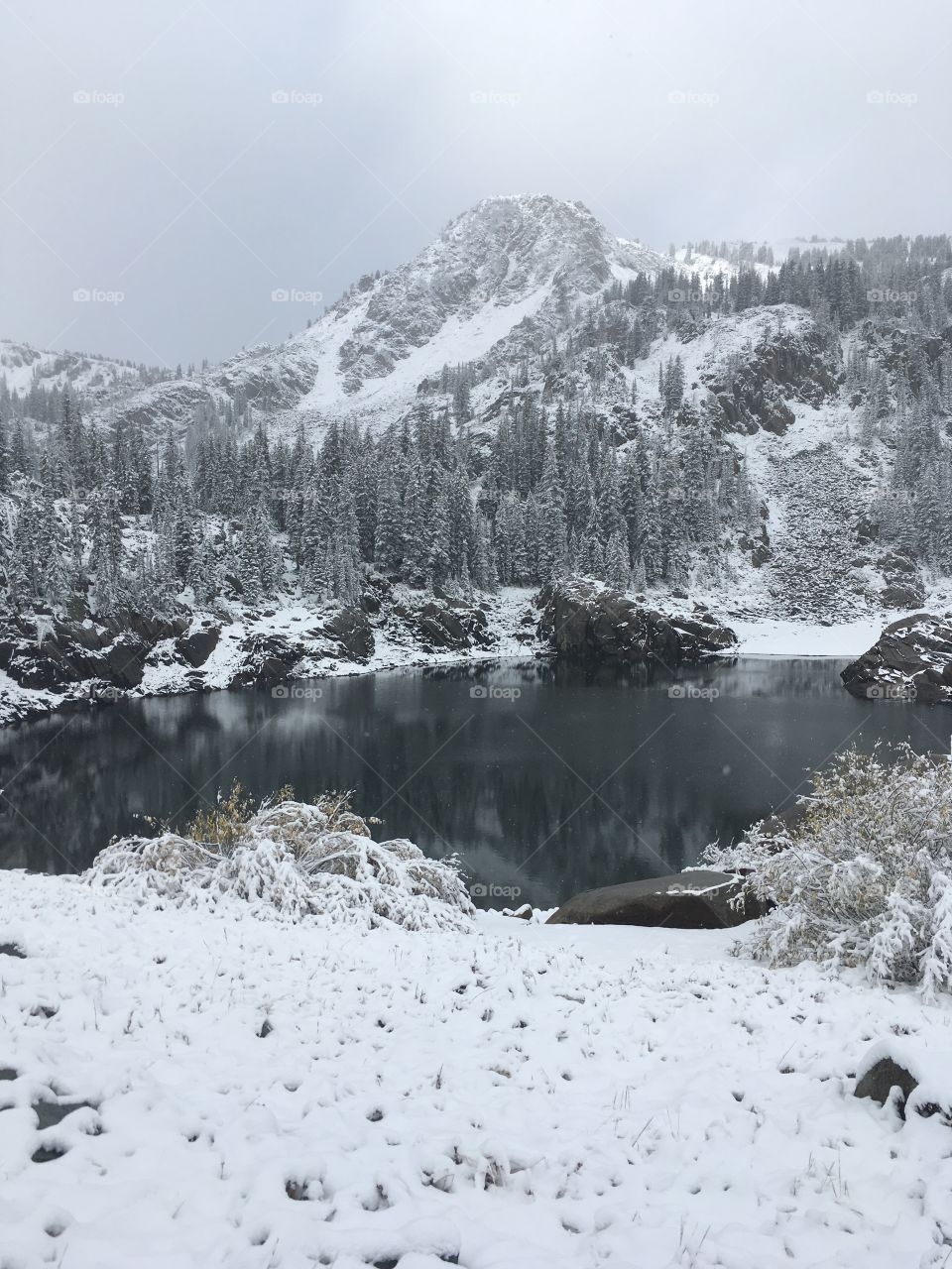 Small lake in the Wasatch Mountains  near Brighton, Utah