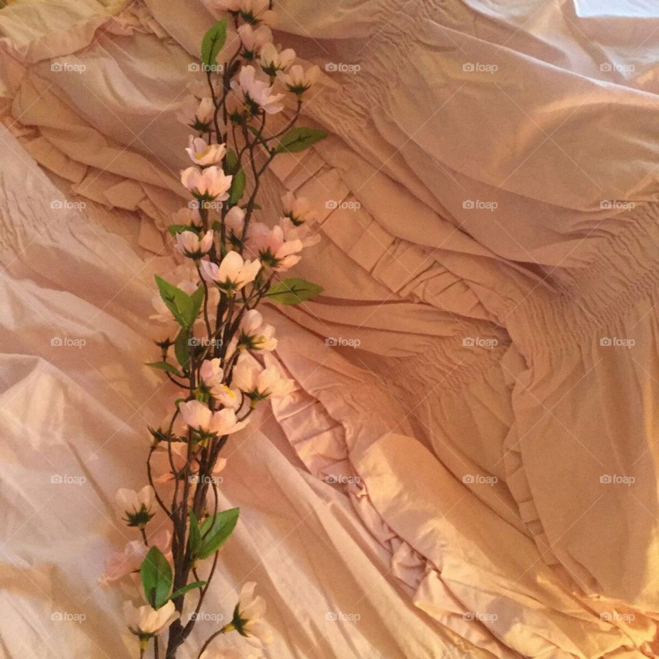 🌸🍑Peach Aesthetic 🍑🌸