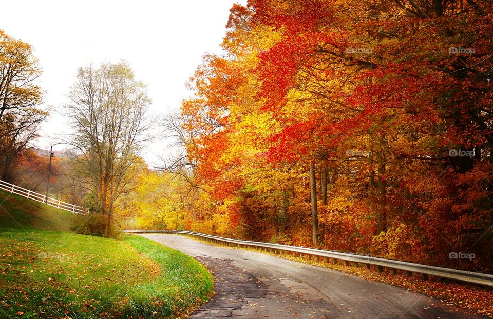 Ohio Autumn Road