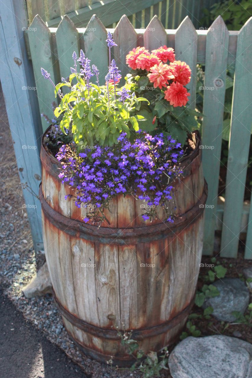 Flowers in a big jar outdoors