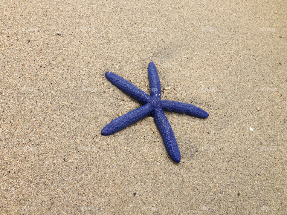 san juan by thepostman