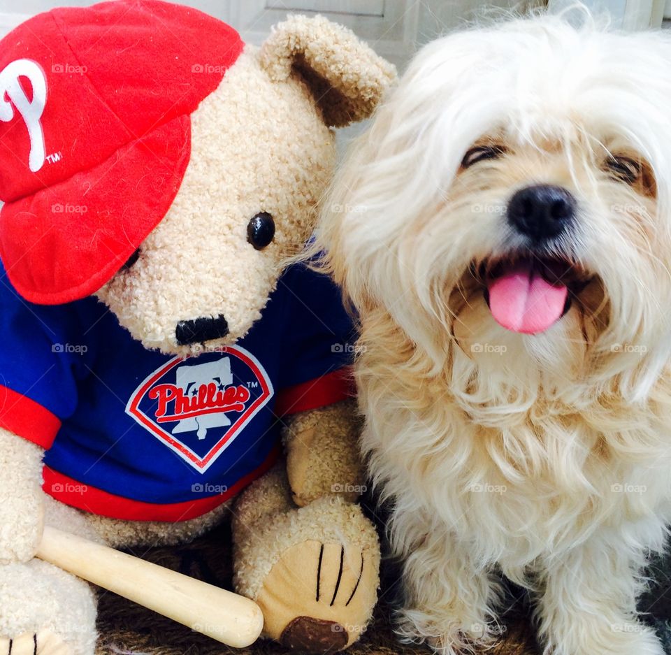Phillies teddy and bear