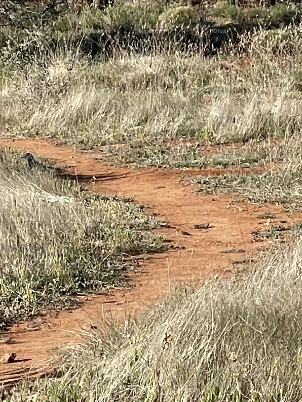 Beautiful hiking trail Arizona 