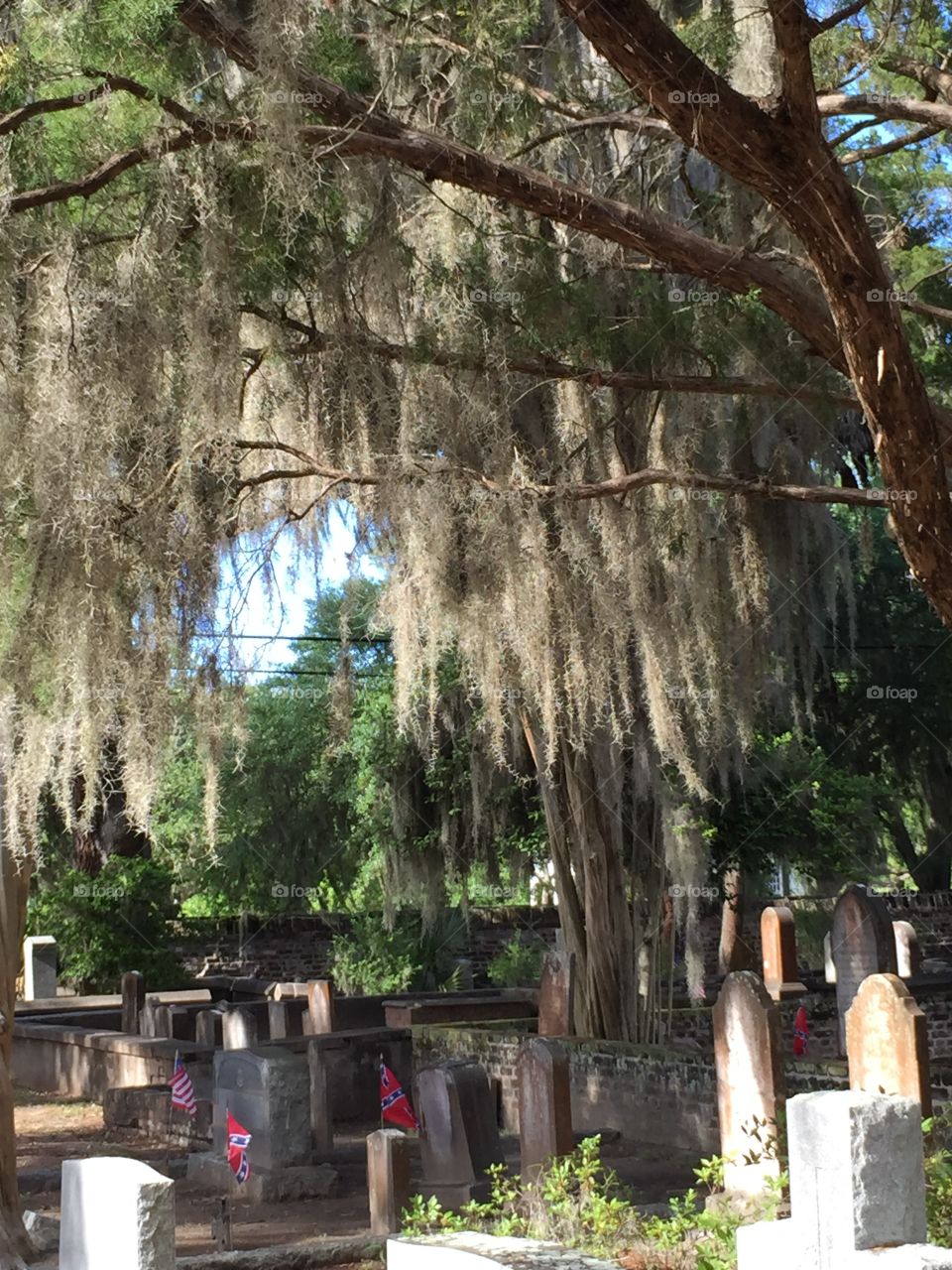 Deep South Confederate Cemrtery. Historic Confederate cemetery with pre war tombstones and Spanish Moss covered trees in South Carolina