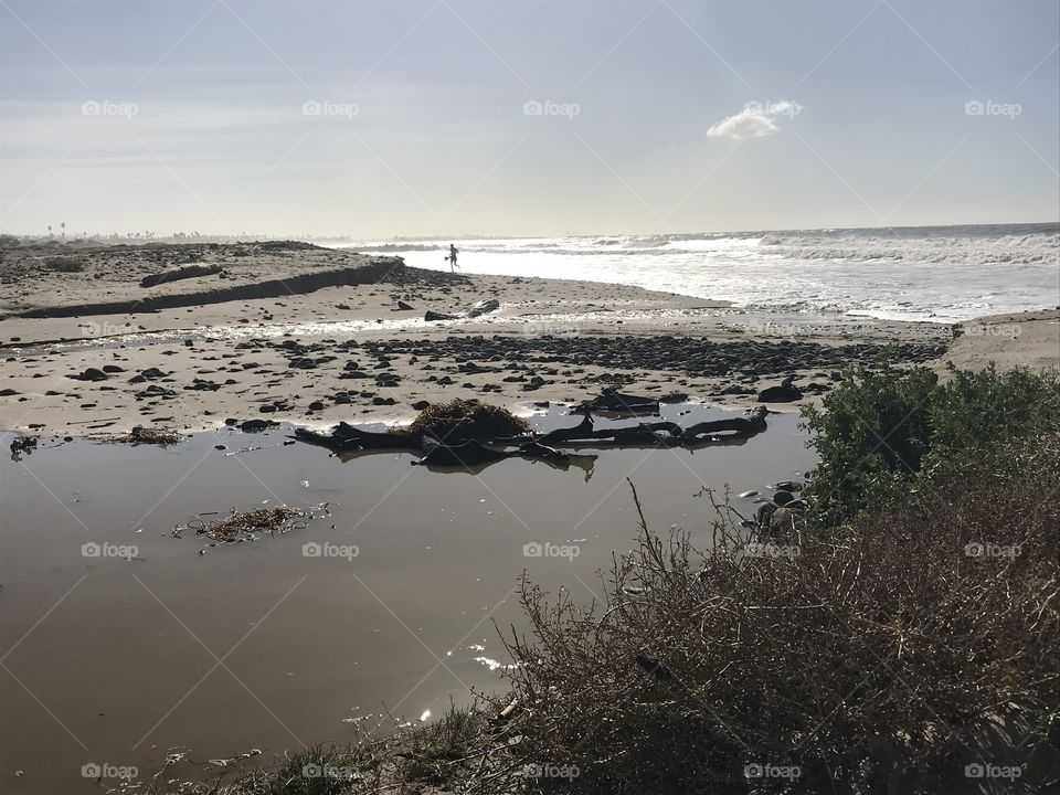 Beach berm Ventura estuary runoff coastal scrub