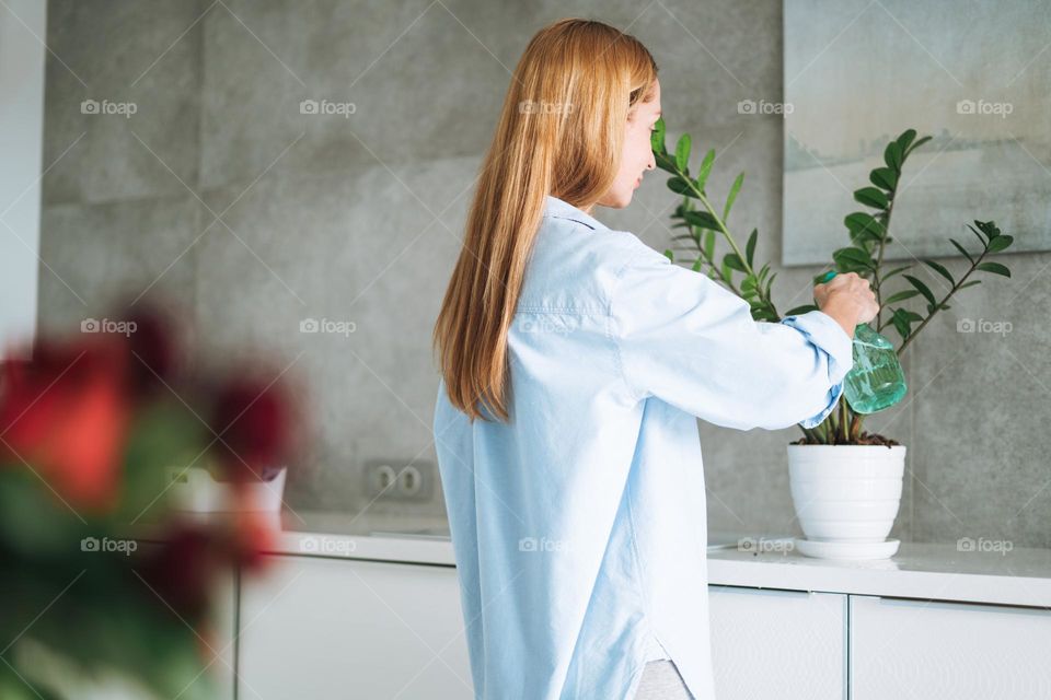 Young woman in blue shirt with spray with water in hands takes care of houseplant in room at home