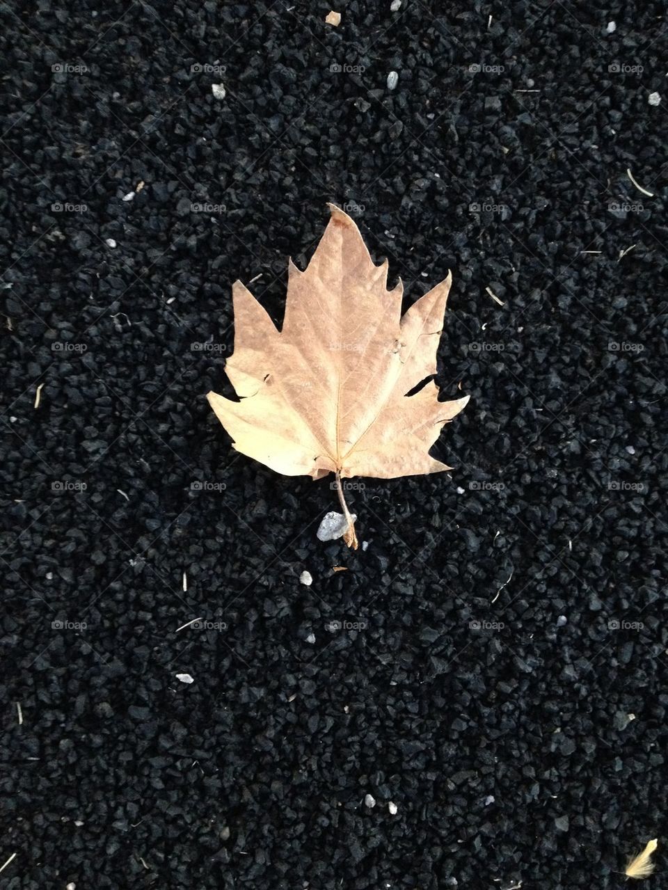 Emoji leaf