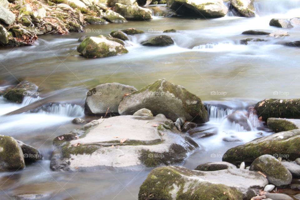 Elkmont stream