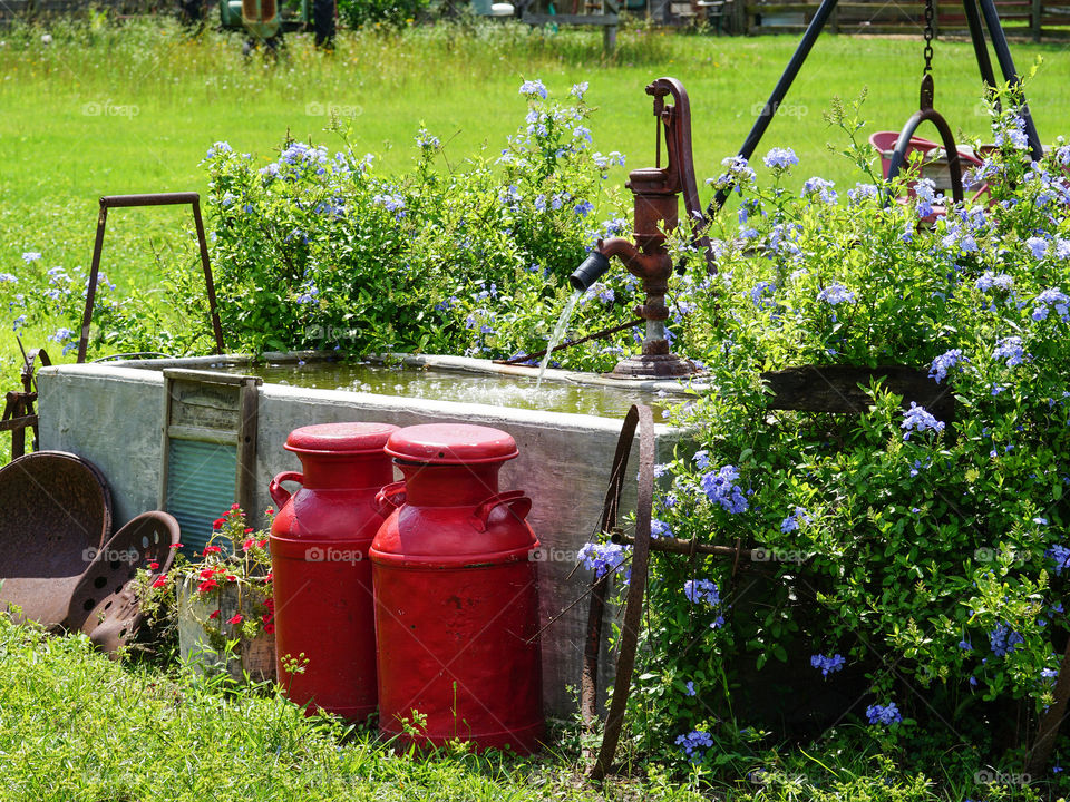 Red milk cans. An old water pump and flowers