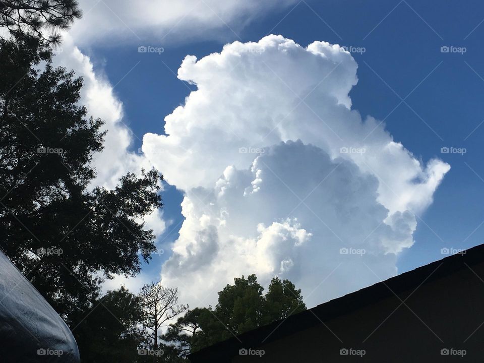 Volcano Shaped Cloud
