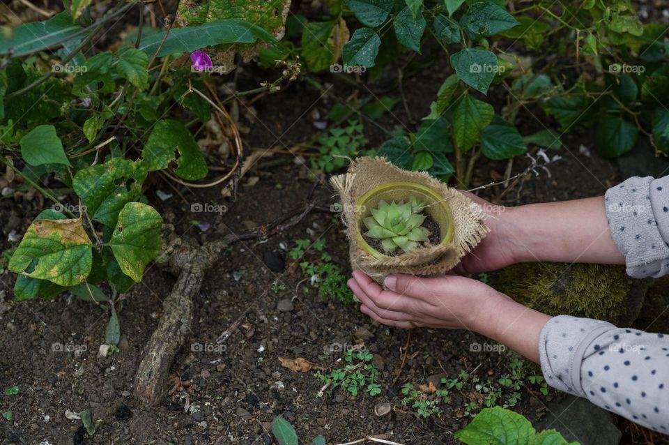 A delightful season for the plants lovers. Ti e for some new plants to grow.