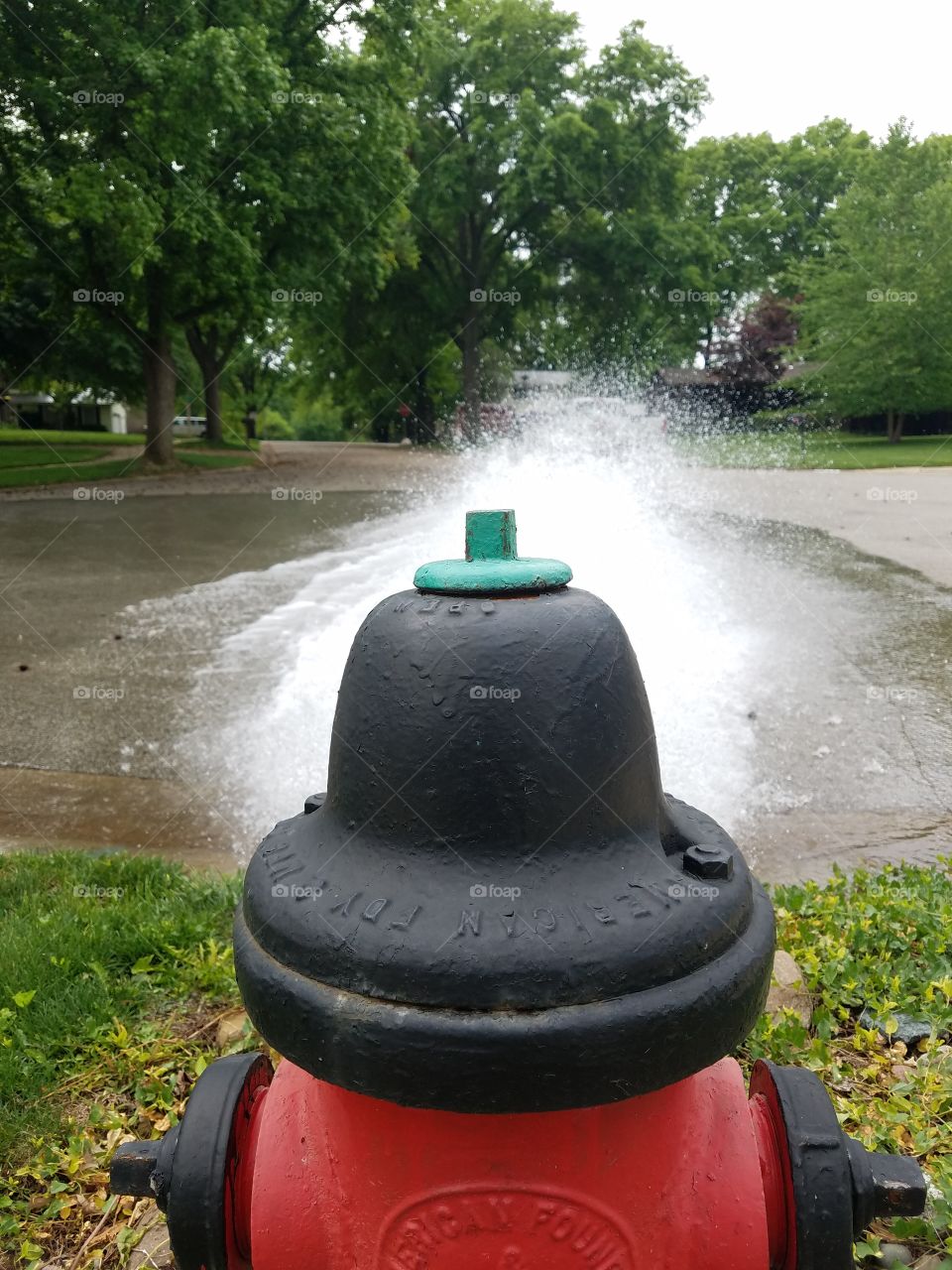 black bell top fire hydrant sprays water on a sumer day