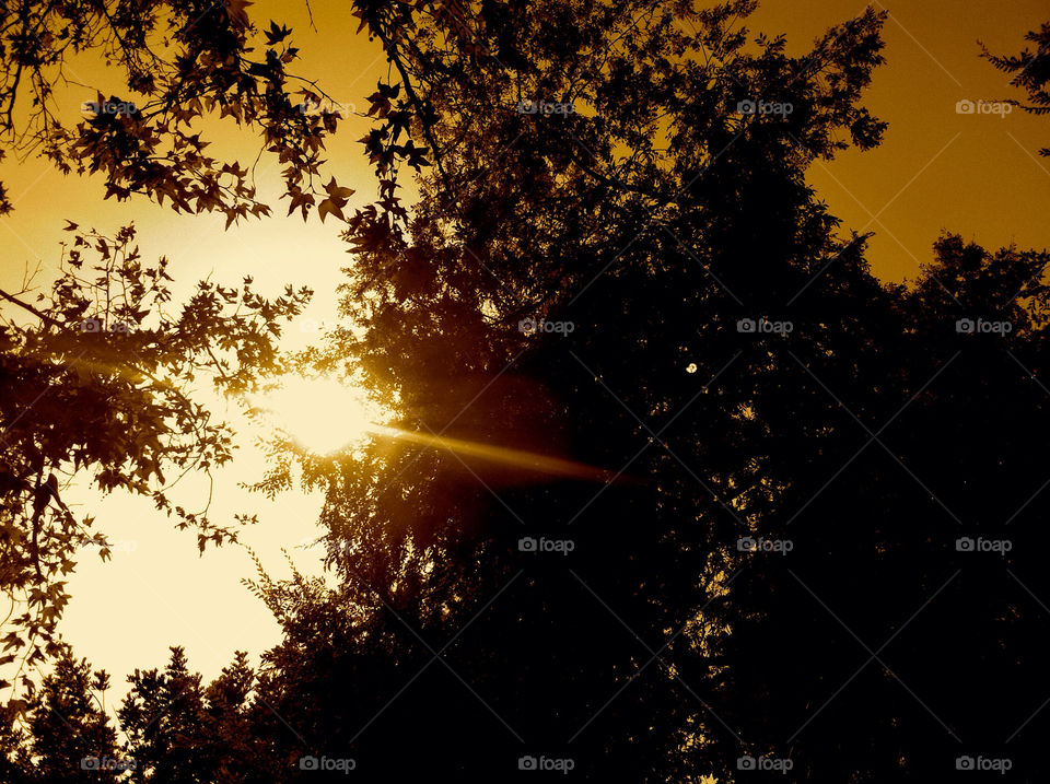 sky orange sunny sun by niki798