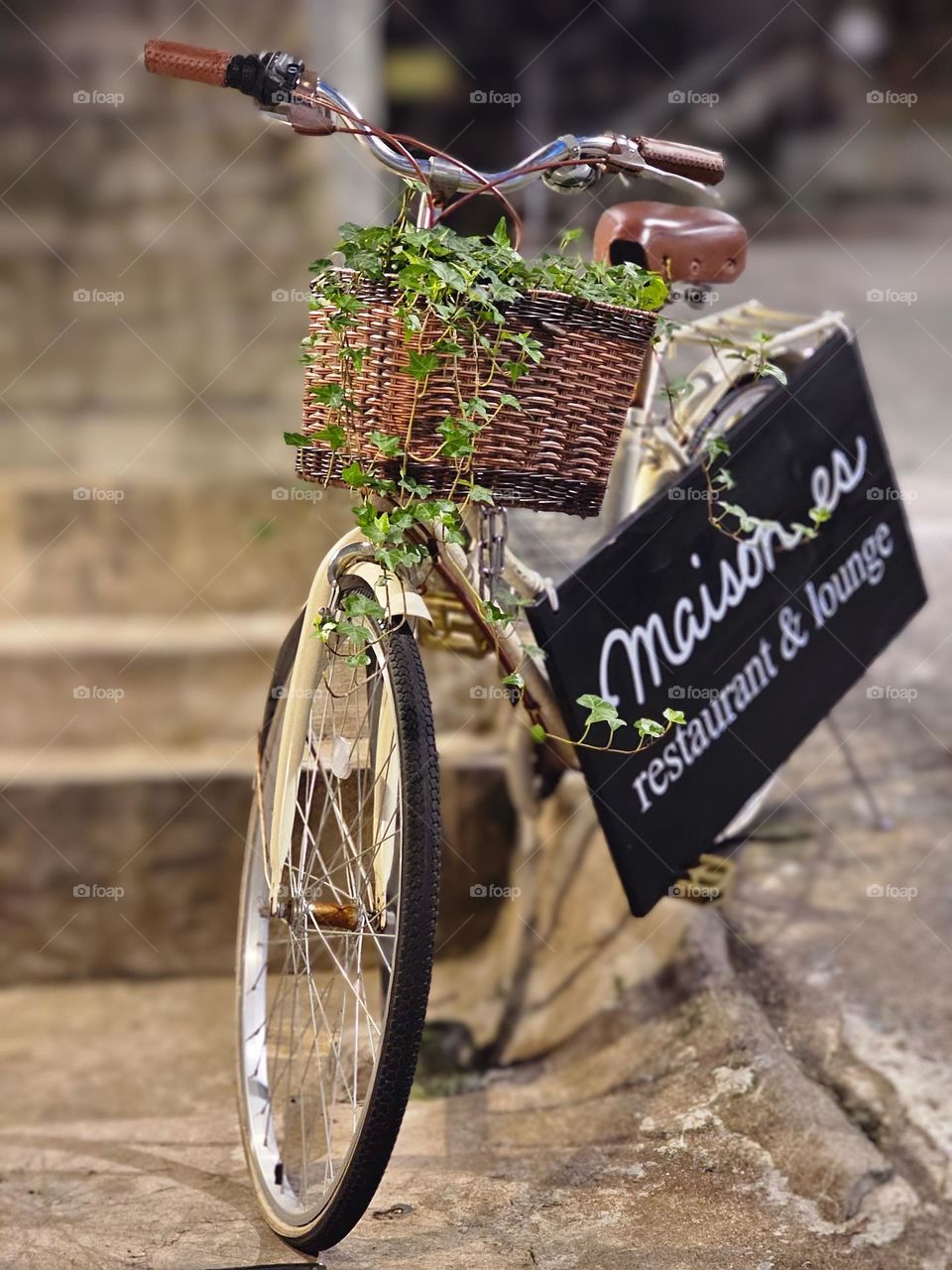 Bicycle with a basket of plants