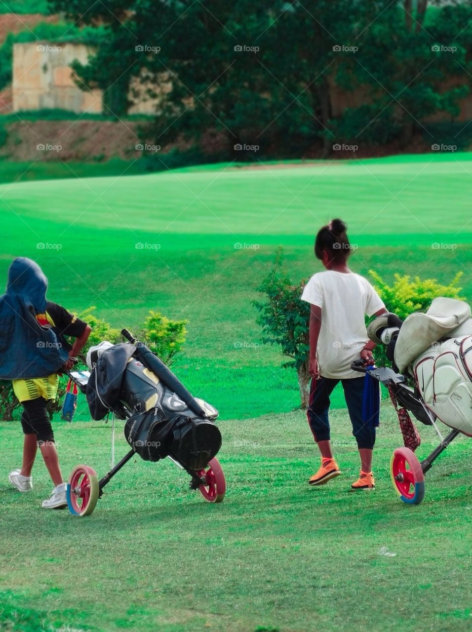 Caddies pulling the golf sets