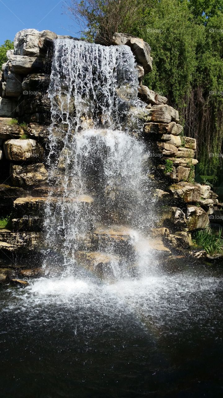 waterfalls at the zoo