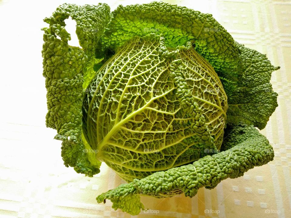 An amazing savoy cabbage photographed in a street market stand exhibition