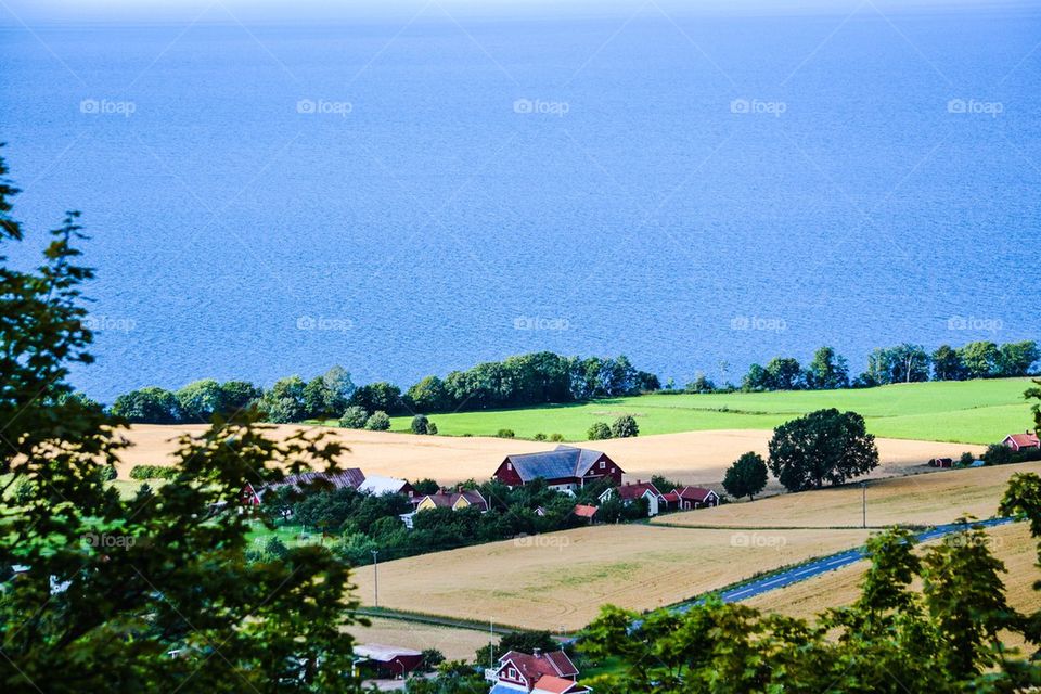 Houses and fields