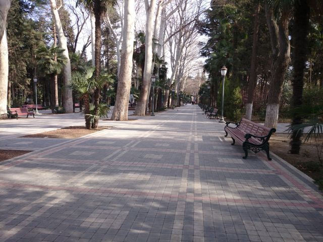 park
