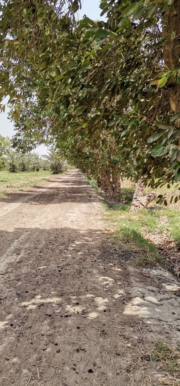 looking for some shadows