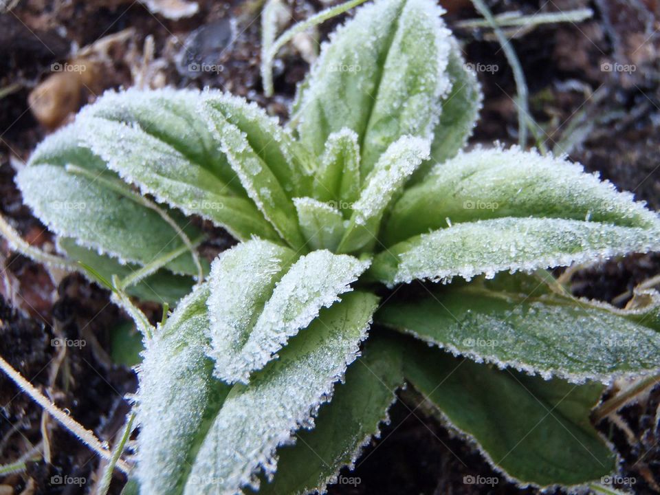 Ain't she beautiful! 