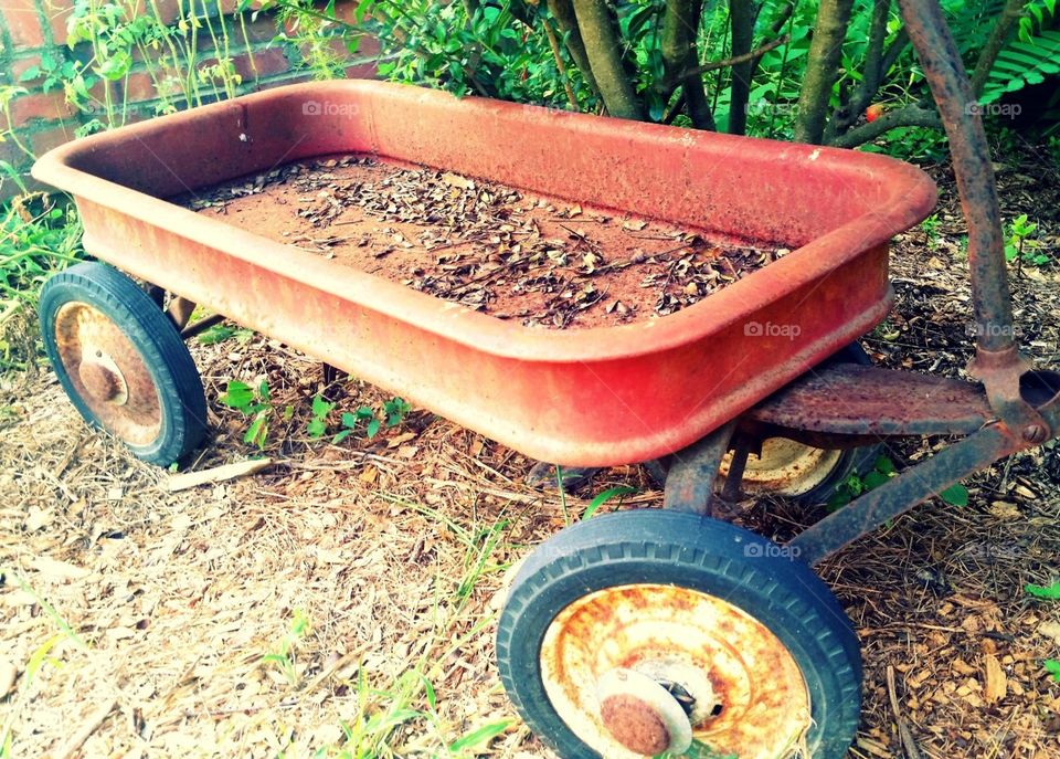 And old radio flyer rusting away in an empty abandoned homefront.