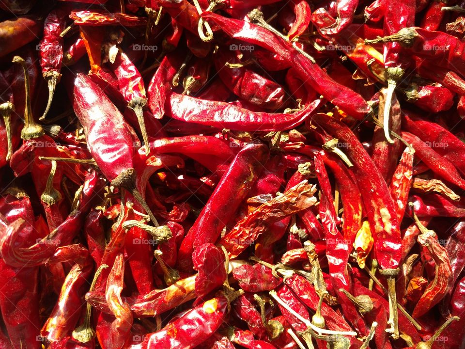 Dry Red Chilis