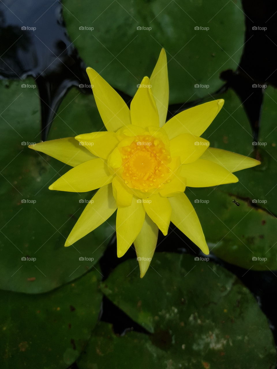 Watching nature can open the door to a perfect life