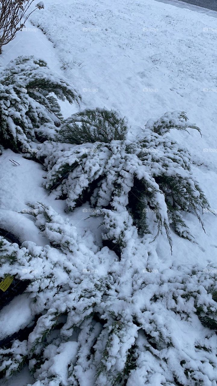 Battle fall vs. winter ❄️