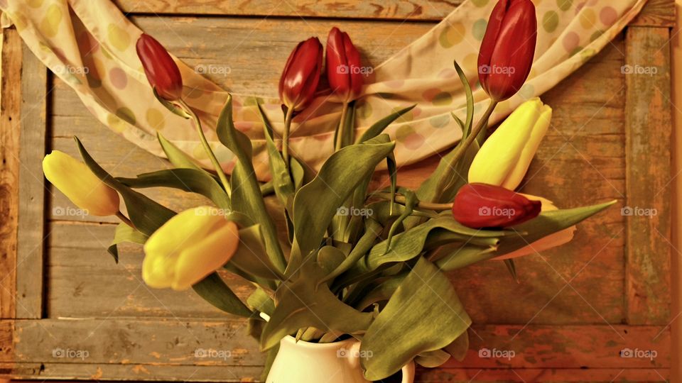 tulpans