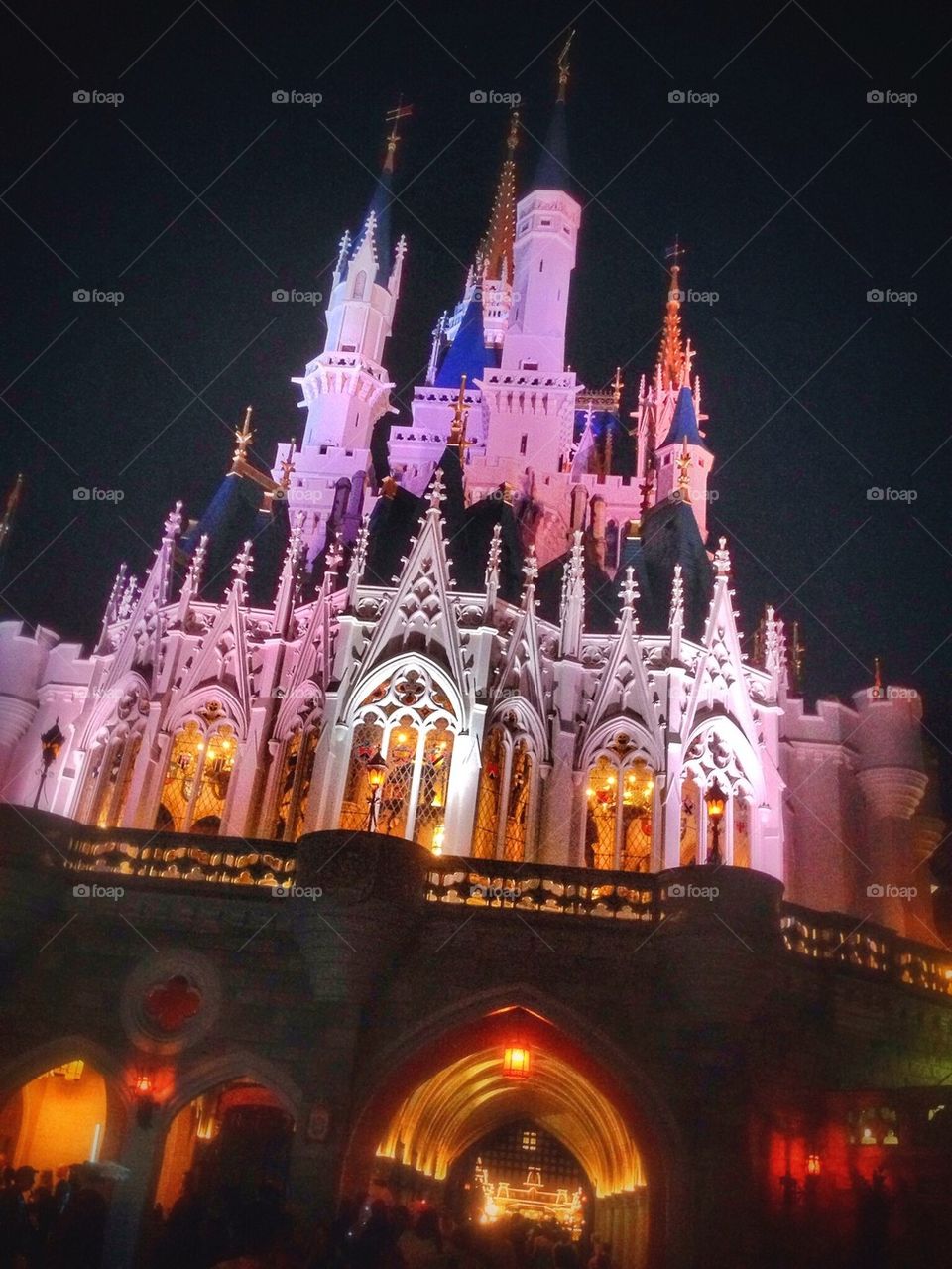 Cinderella's Castle