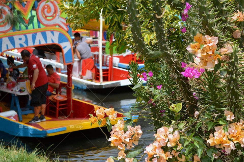 Mexico! ! Muéstranos tus actividades al aire libre!