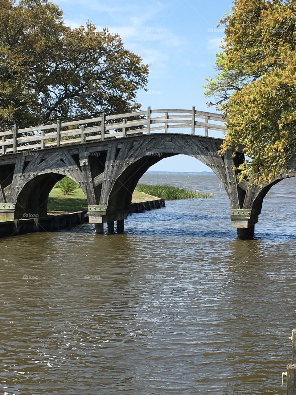 Nature bridge