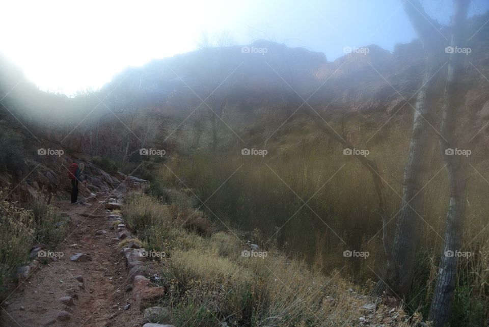 Misty morning on the bright angel trail