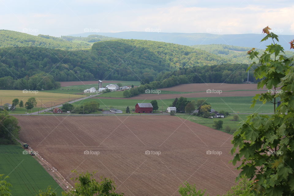 Northern farm