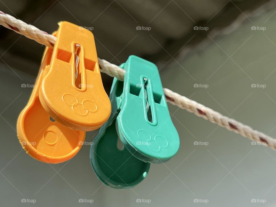 📸Capture the Power of Complementary Colors.