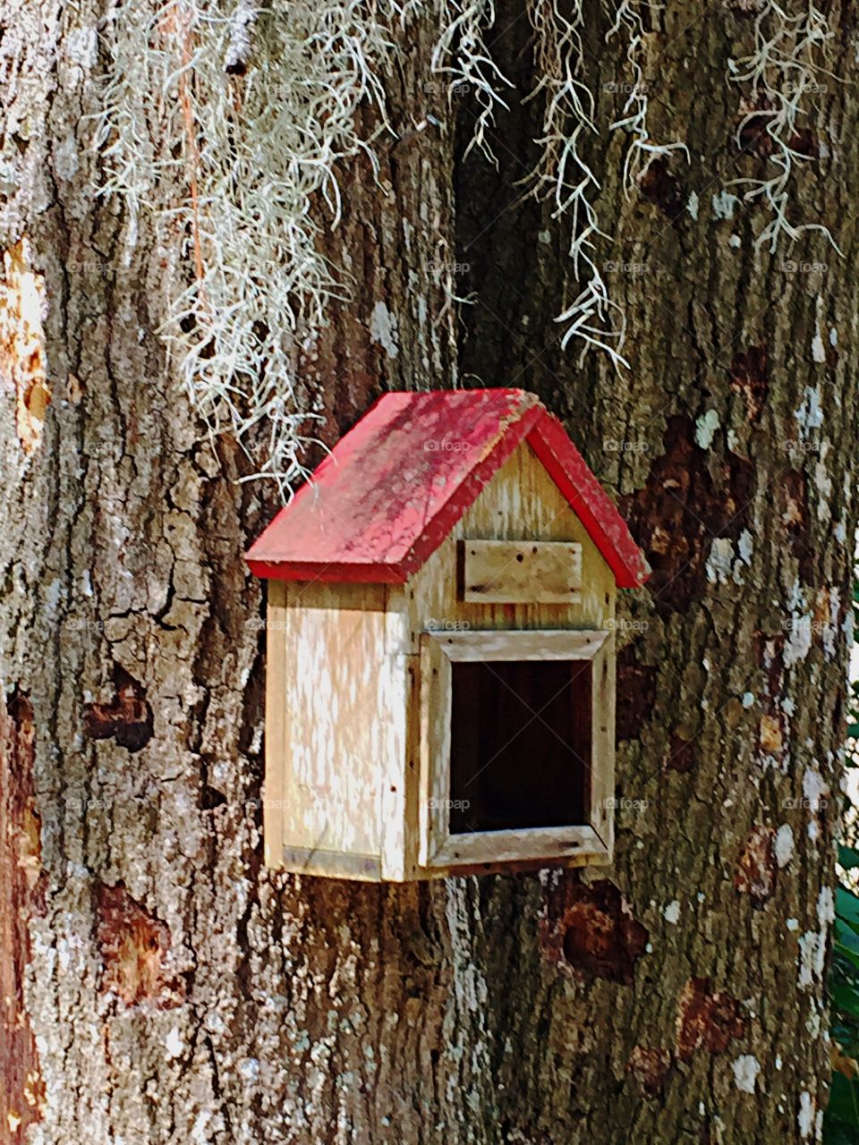 Birdhouse in the forest