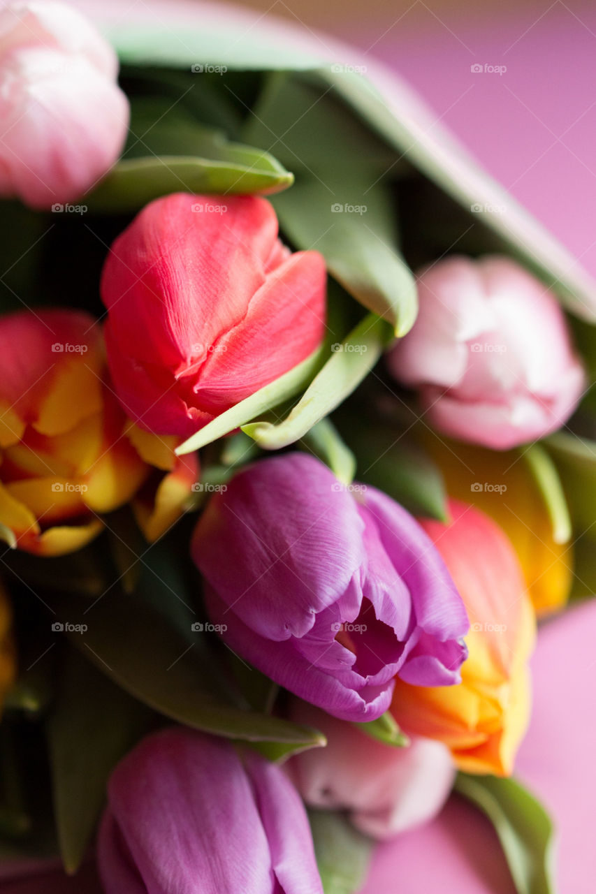 Bunch of colorful tulips. A bunch of different bright colored tulips in close-up