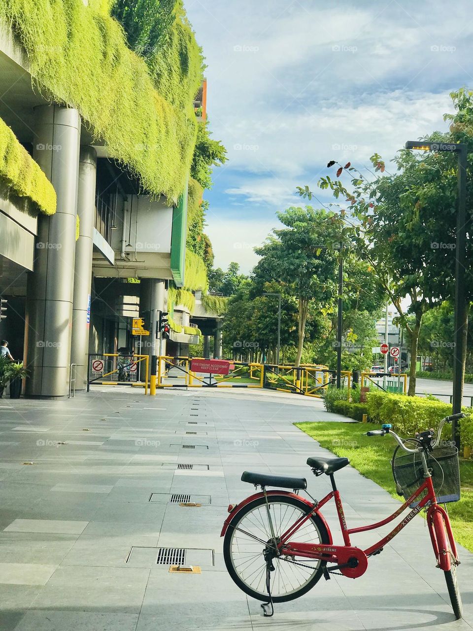 A beautiful sky single red colour bicycle with basket stands near the greenery attached shopping mall 